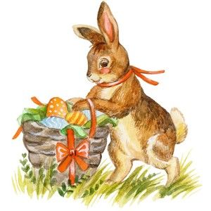 Meet your Posher, Kataraina